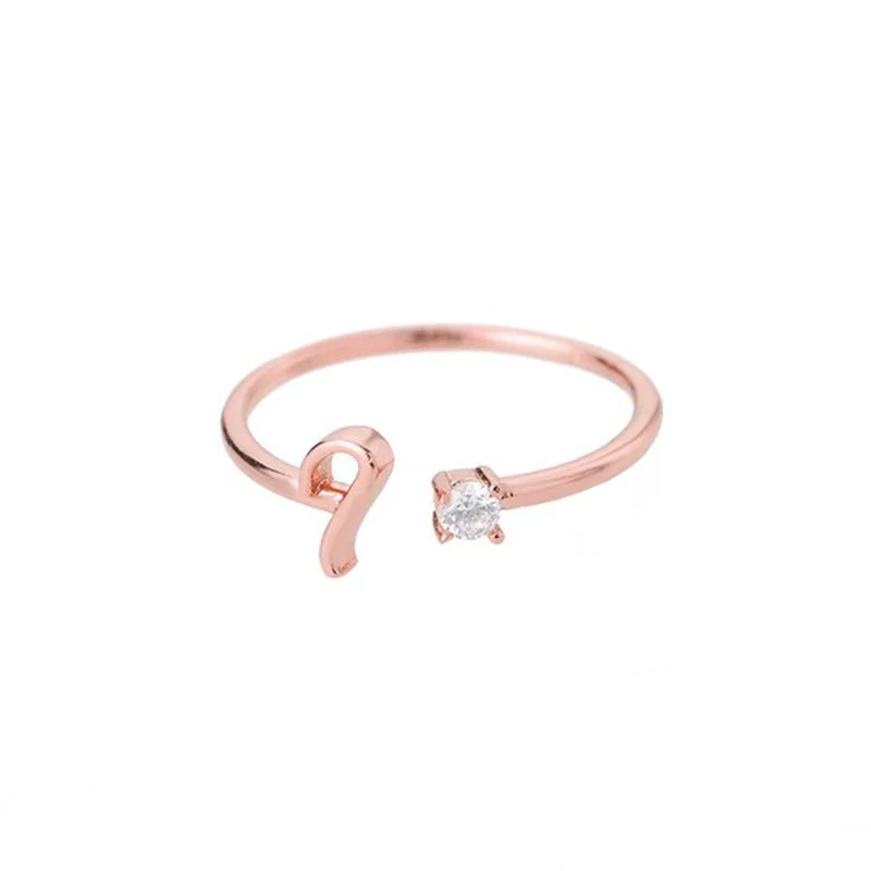 Initial Ring with Luxury Rosebox with Light - Image 45