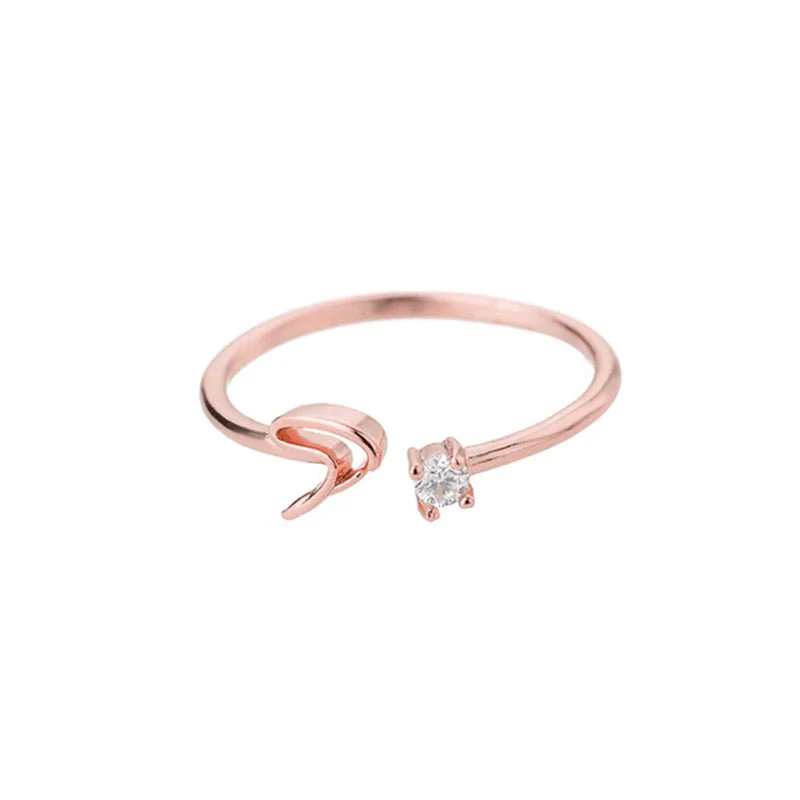 Initial Ring with Luxury Rosebox with Light - Image 55