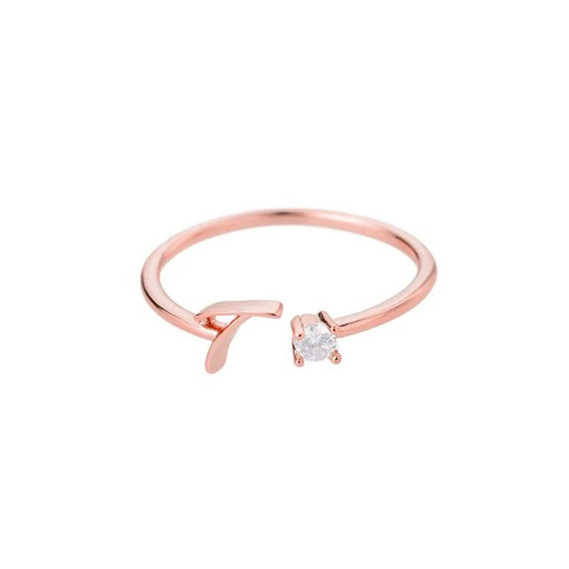 Initial Ring with Luxury Rosebox with Light - Image 56