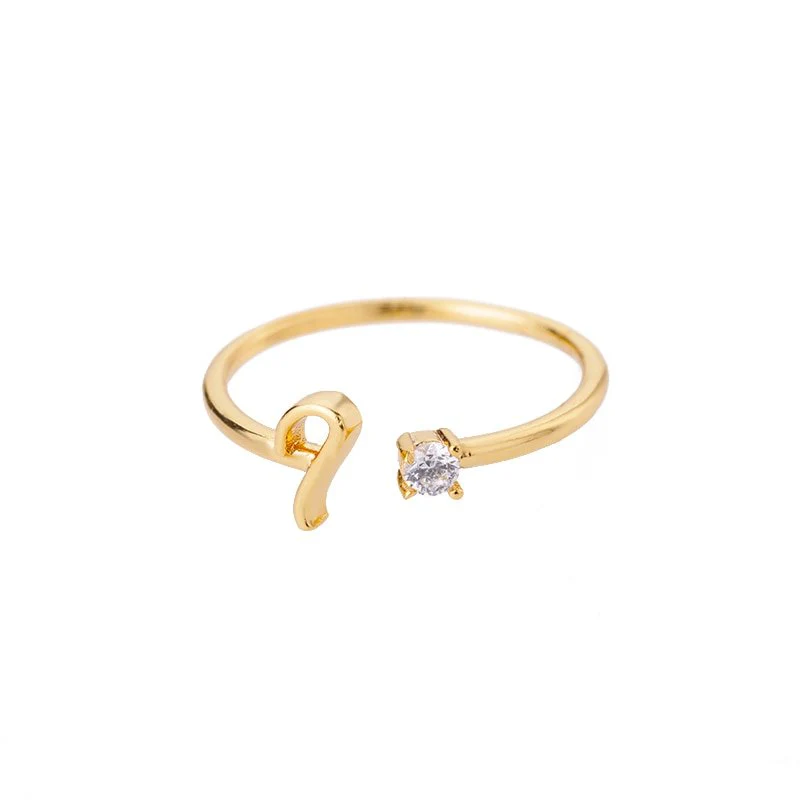 Initial Ring with Luxury Rosebox with Light - Image 71
