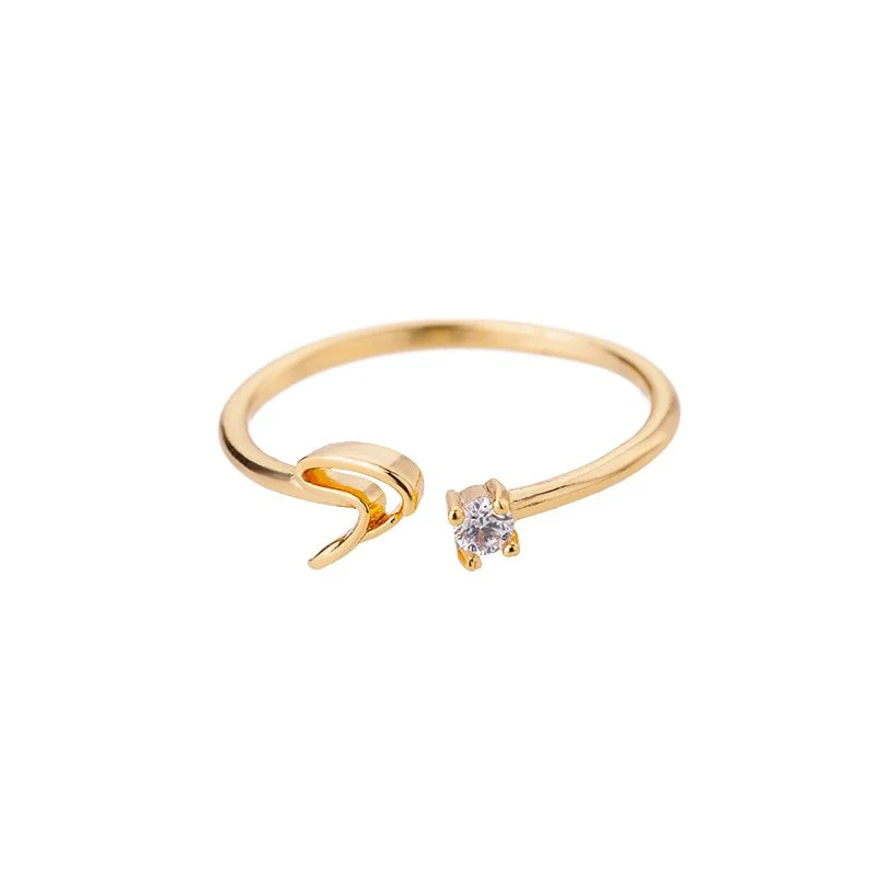 Initial Ring with Luxury Rosebox with Light - Image 81