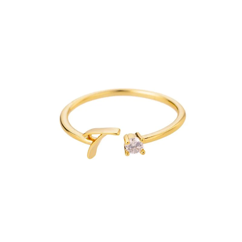 Initial Ring with Luxury Rosebox with Light - Image 82