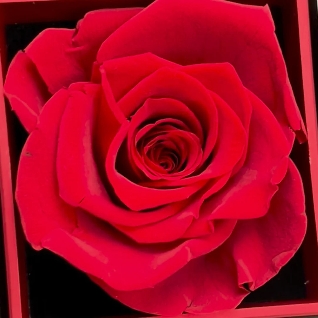 Sterling Silver Necklace - With Real Rose - To My Mother - Image 5